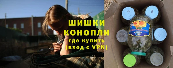 СК Арсеньев
